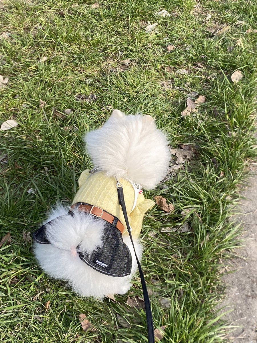 자몽 두째언니🍊 tweet media