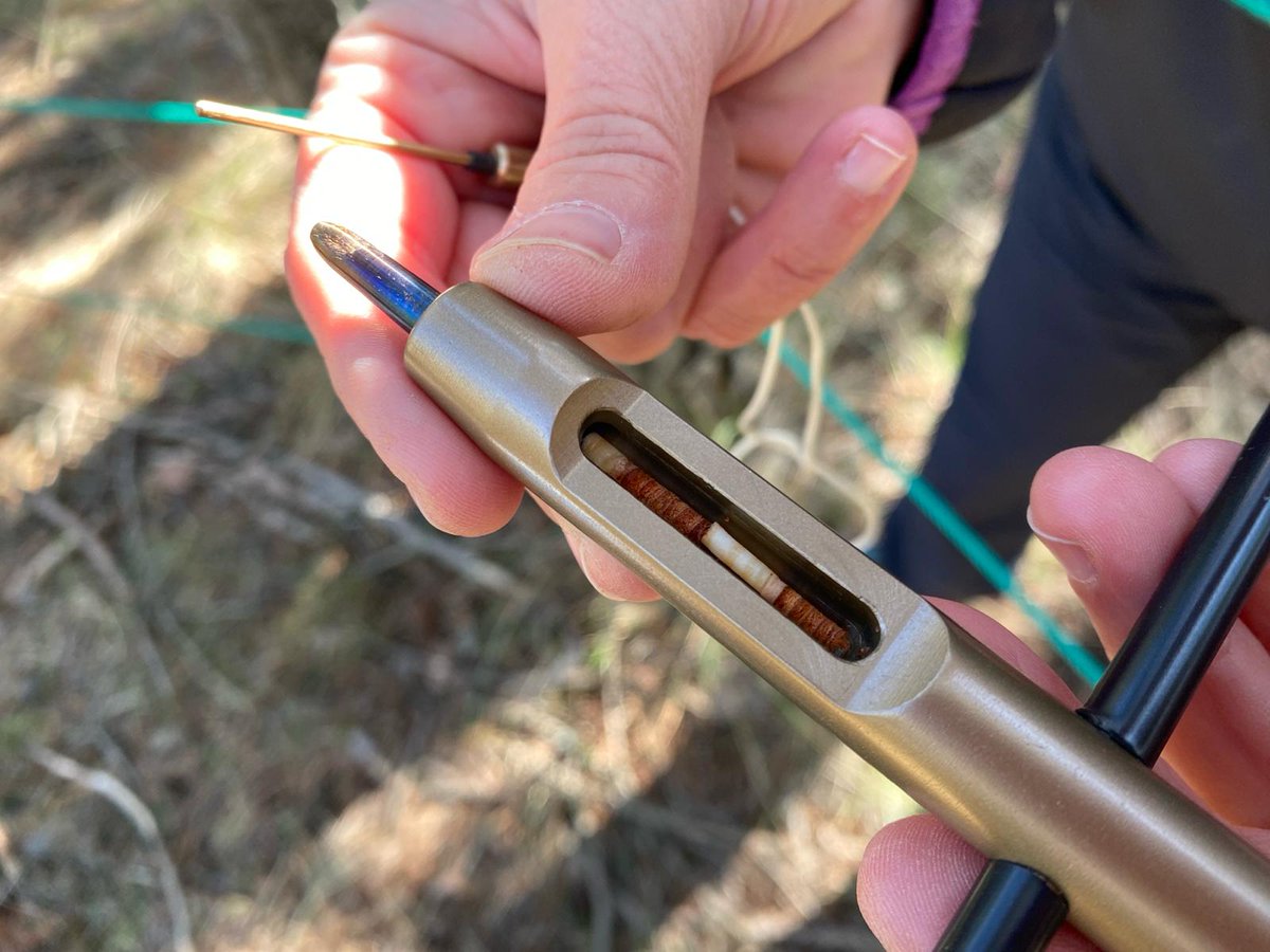 🌲💍Last week, we initiated the monitoring of #xylogenesis at Vallcebre Research Catchment @IDAEA_CSIC  🥳 Extremely happy about this new collaboration with @PilarLlorens2 @JeromeLatron @adriaSigfrid 
The results will be part of my @snf_ch Ambizione project #MoreForLess