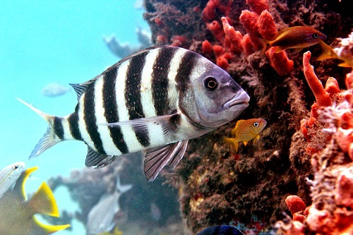 luciana medina tweet media