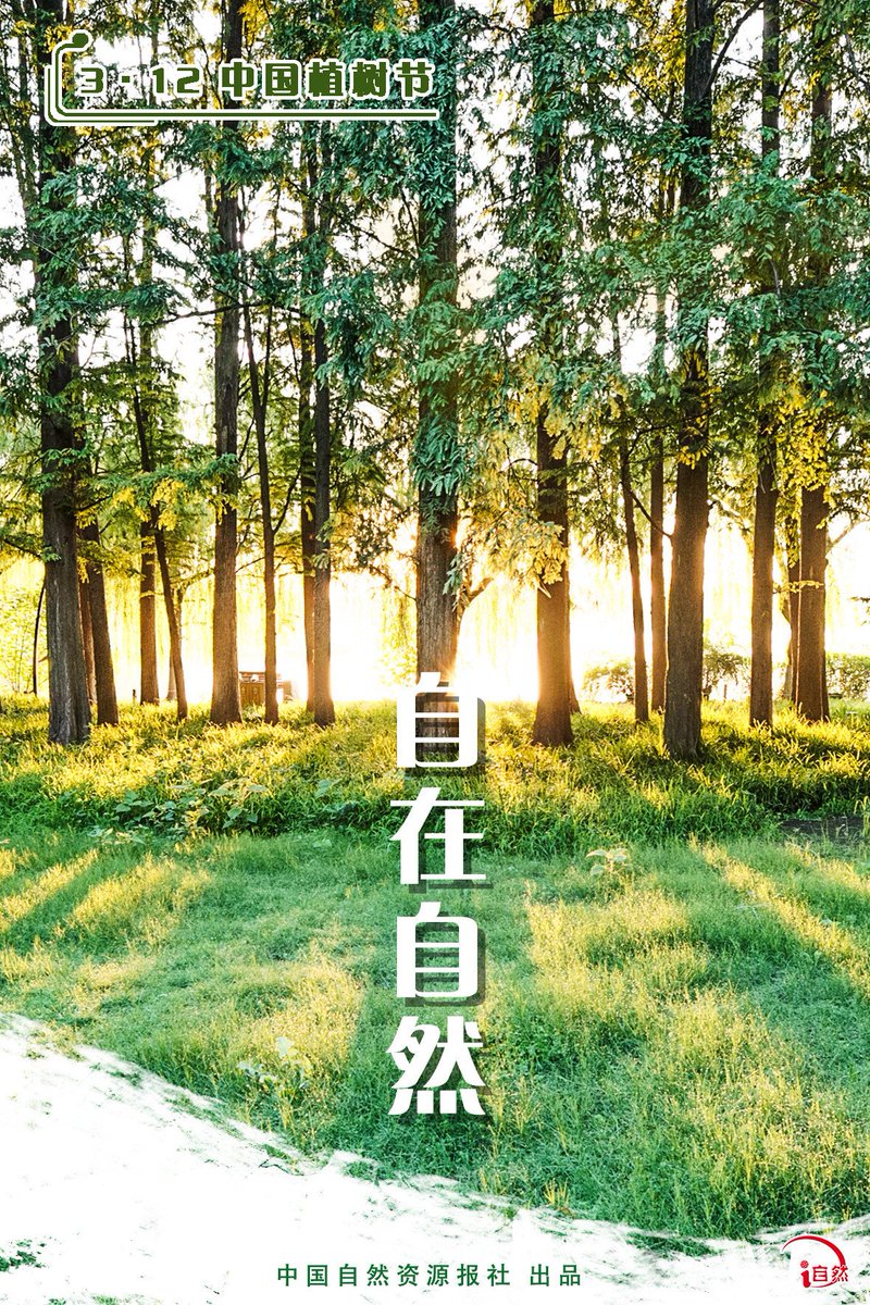 leanjushi1's tweet image. 人与自然和谐共生 #植树节 #TreePlantingDay