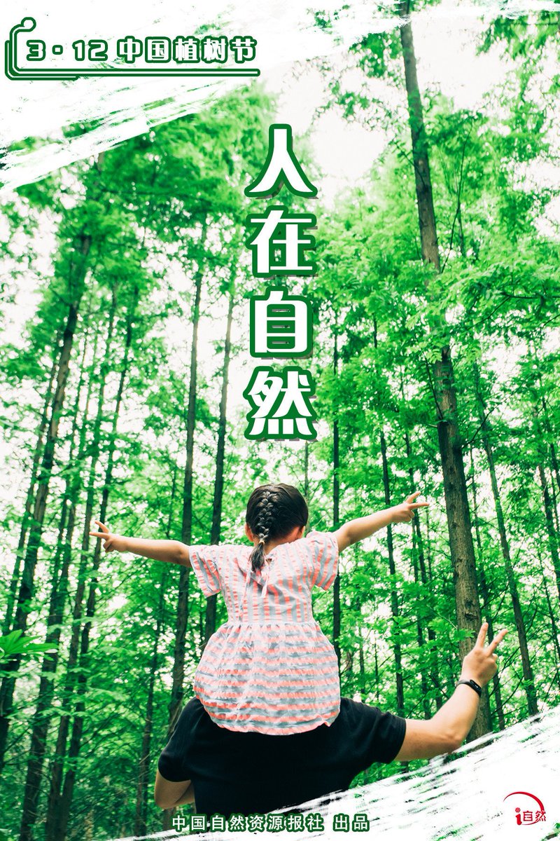 leanjushi1's tweet image. 人与自然和谐共生 #植树节 #TreePlantingDay