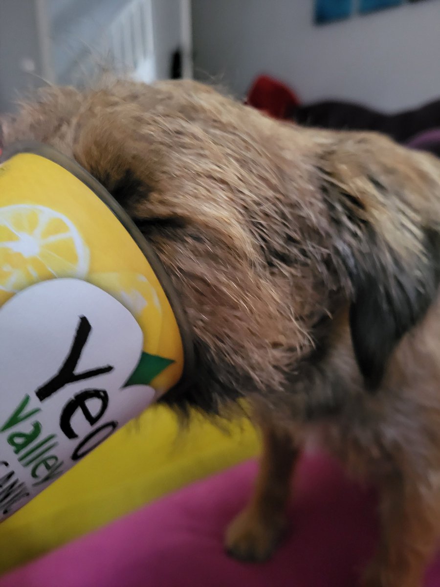 A series called - 'heaven is a yoghurt pot , how deep can yoo go'.
*rubs tummy*
#btposse 
@yeovalley