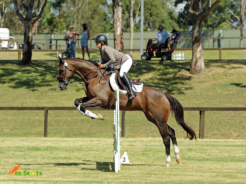 Taking horses off the track is probably the singlehanded most rewarding journey you could go on. Get.Yourself.A.Thoroughbred 

You won’t regret it. I promise. 

I mean it might send you broke. But you still won’t regret it. 

Invictus Prince 👑