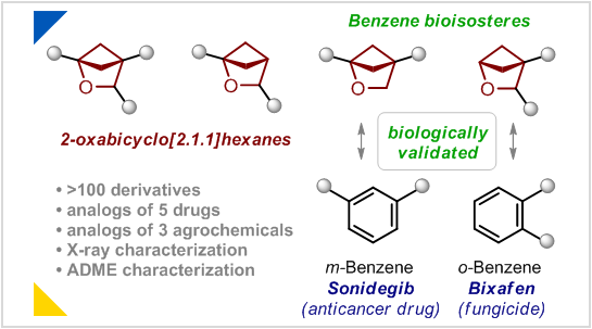 In 2020, we reported on O-[2.1.1]s (bit.ly/3Iwtt0j), and these cores immediately skyrocketed in medchem. Today, we disclose a full story on their synthesis, characterization, and validation as benzene bioisosteres. Published in @angew_chem : bit.ly/4a49t0C