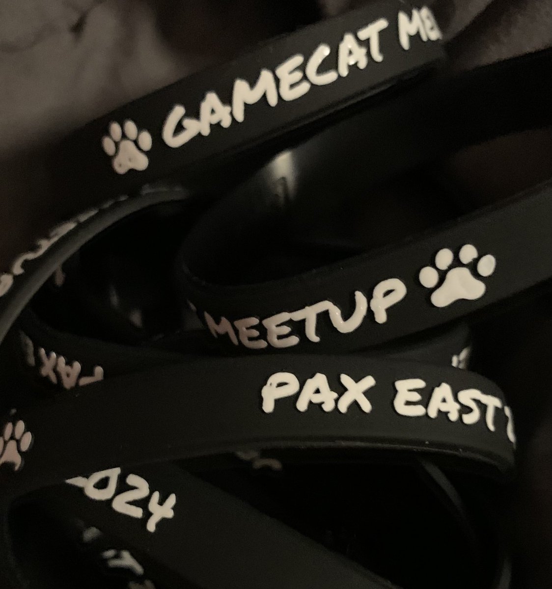 A few hundred of these just showed up at my door. Make sure you find me at PAX East next week and get one! #gamecatARMY #PAXEast