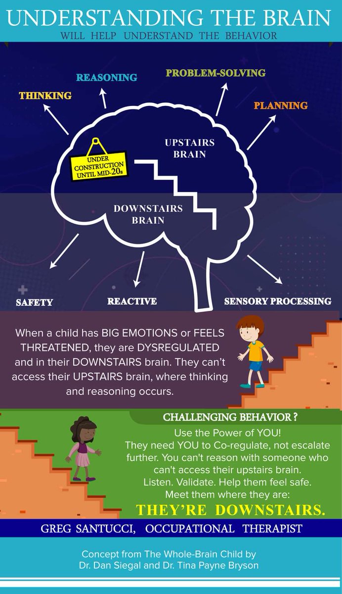 A better understanding of the hierarchy of child brain development can provide a different perspective on our most troubled young people. How their brain can influence behaviour. What is behind the behaviour & ensuring the young persons needs are understood and met.🧠🌱