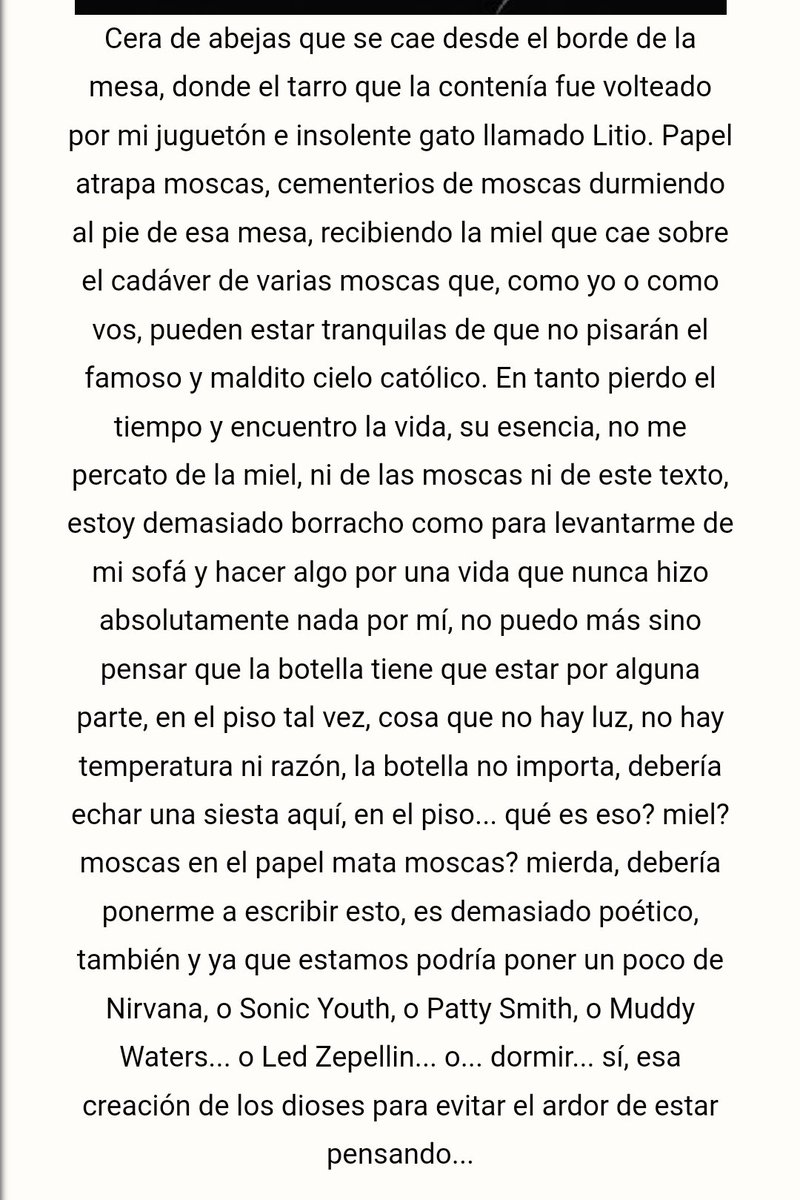 TanqueShirley's tweet photo. @unnamedmanya Bien shitposteado https://t.co/o27NCVnnRf
