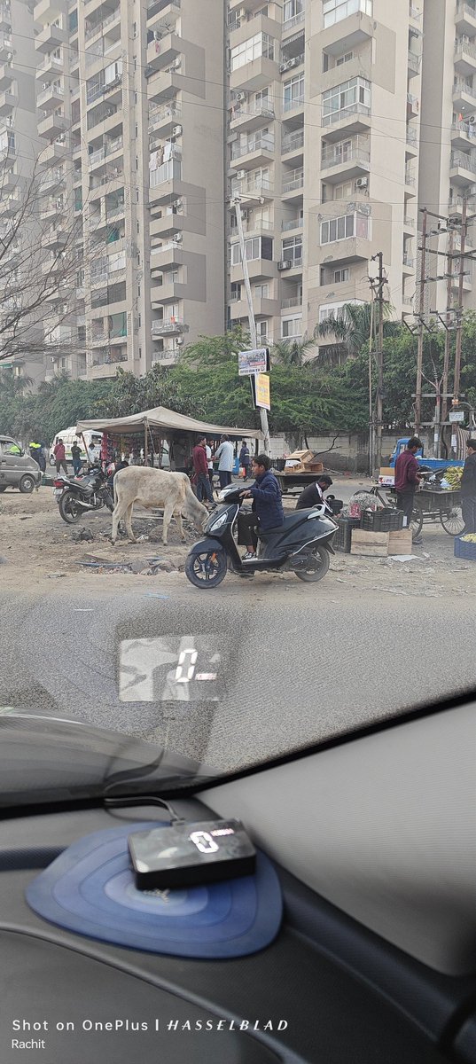No traffic police, no number plate and hence no fear. This is the new norm in Greater Noida. In a day you will find vehicles with no number plate and police sirens installed. @noidatraffic @112UttarPradesh time:8 am date 12/mar location:Zeta 1, Greater Noida