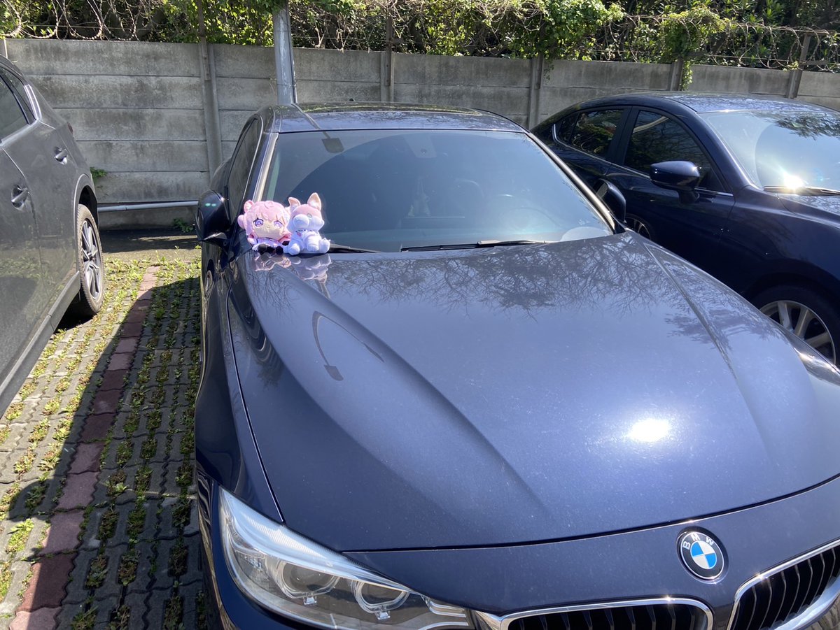 今回のEXPOにも仕事の都合で参加できません、とても残念です。でももし行けるなら、必ずKoyoのぬいぐるみと助手くんを一緒に車で会場に行きます。 
#こよりに見せたい