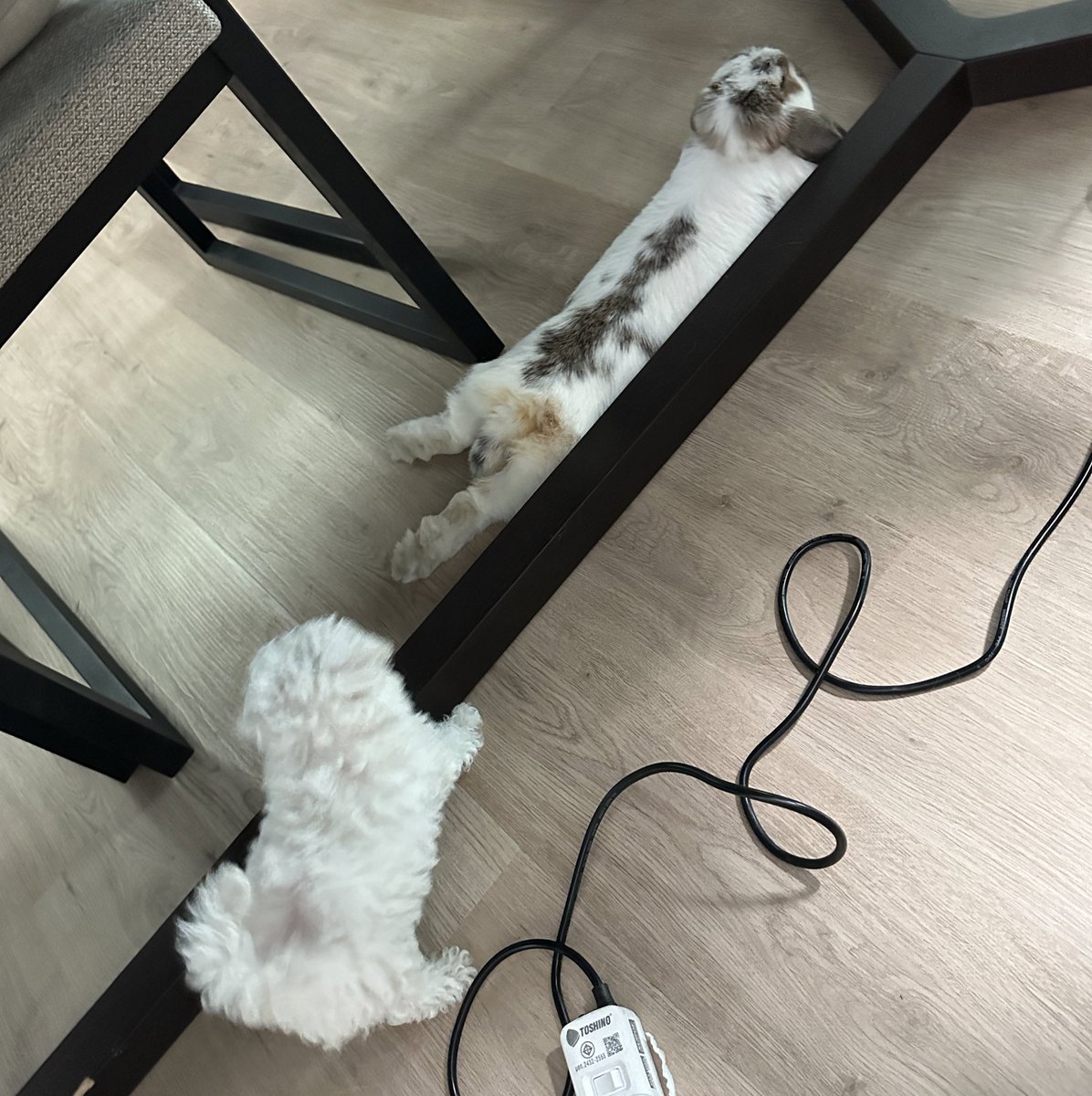 itscharlotty's tweet photo. เข้าหาพี่เขาดีดีลูก https://t.co/2olrAxDqcV