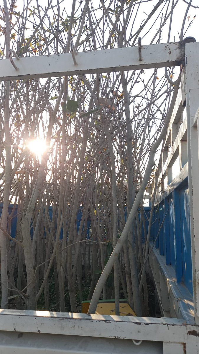 Green Village Clean Village tweet media
