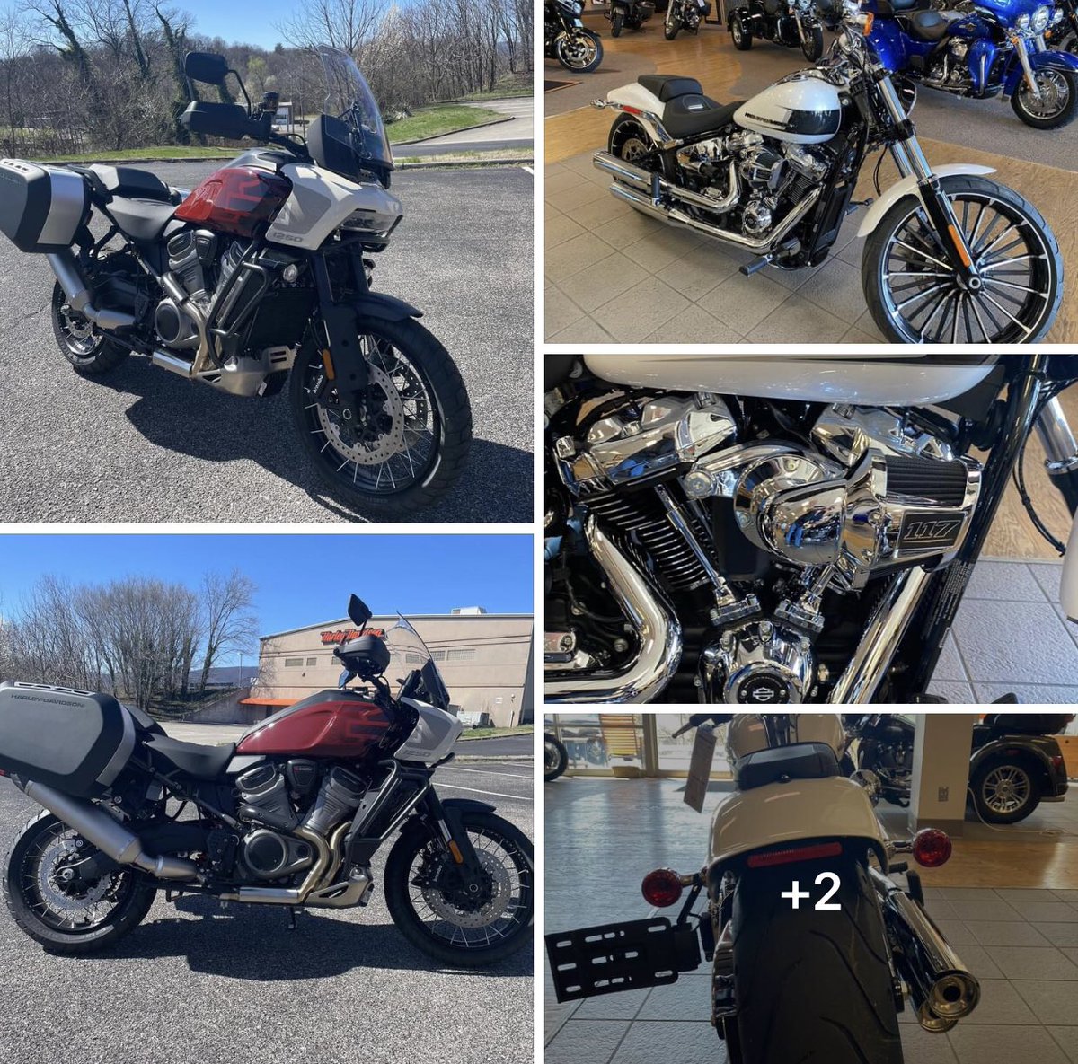 More new bikes hitting the floor at Roanoke Valley Harley-Davidson- it’s time to ride!
#roanokevalleyharleydavidson #harleydavidson #panamerica #breakout #triglide