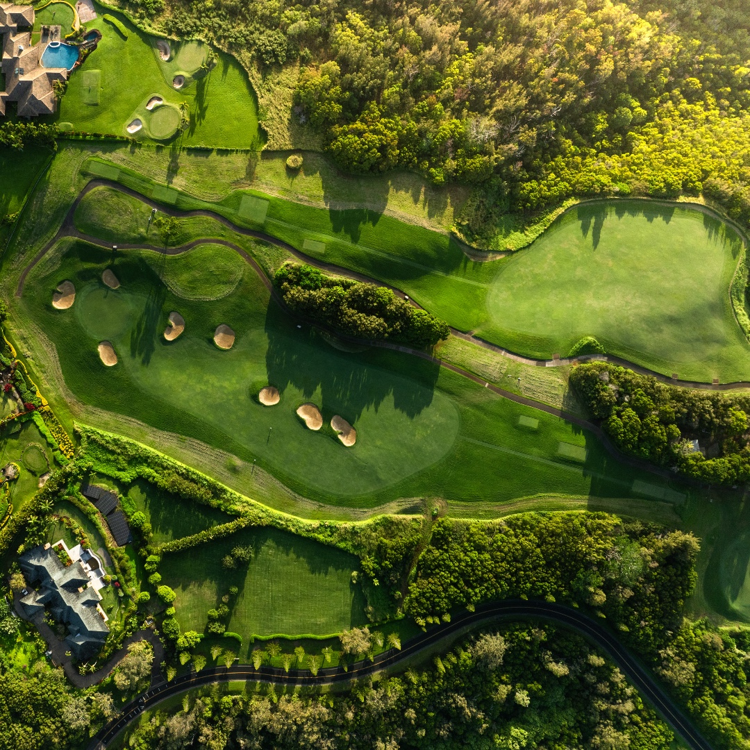 GolfatKapalua's tweet photo. Shift your view, shift your perspective โณ
#MondayMotivation #AerialViews #PlantationCourse #MauiGolfing https://t.co/wIXiM0fXy6