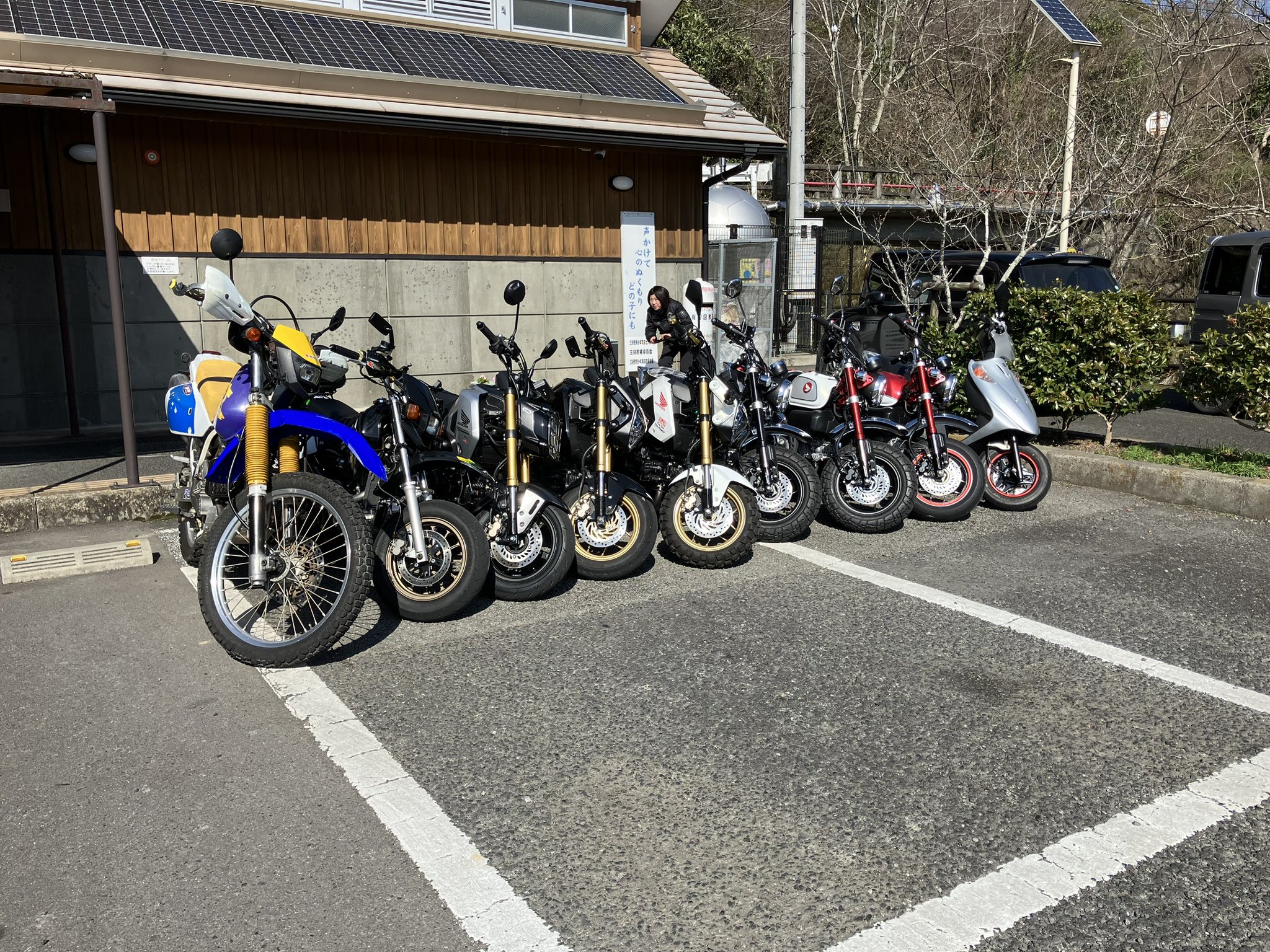 HD-FUYUYOZAKURA SE'22 F,S/STD | Deviser ｜株式会社ディバイザー｜長野県松本市のギターメーカー