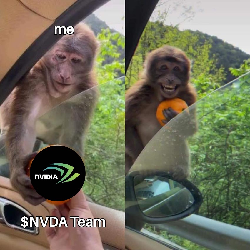 IntroApe's tweet photo. @SolanaNvidia @SolanaNvidia #NvidiaOnSol
Best gift ever..
A gift that keeps giving
LFGooooooo to MARS boys 🚀🚀🚀🚀 https://t.co/z4jwCPrXUj