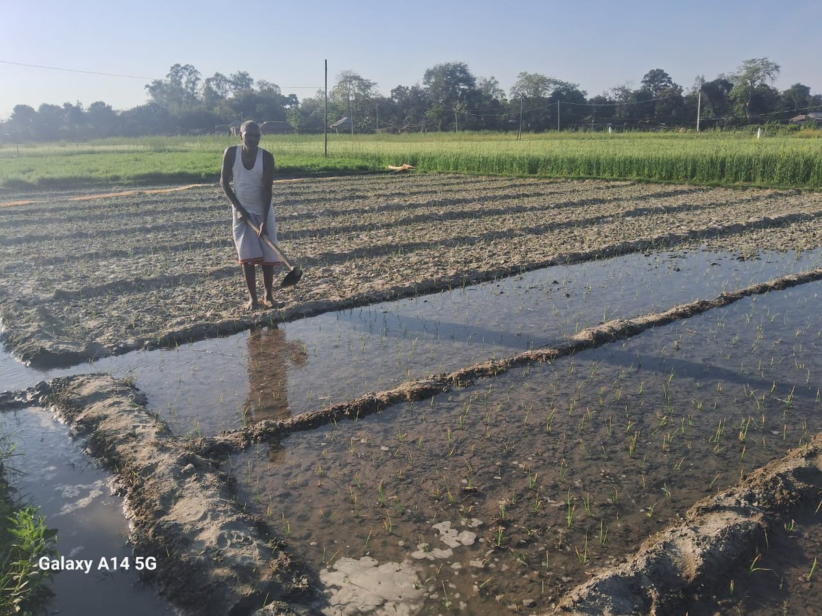 Discover the transformative impact of <a href="/GPSVS/">GPSVS</a> focus on natural &amp; commercial farming! 🌱 By championing natural practices, we ensure sustainability, healthier produce, &amp; empower migrant families, especially women with stable livelihoods. #SustainableAgriculture #Empowerment