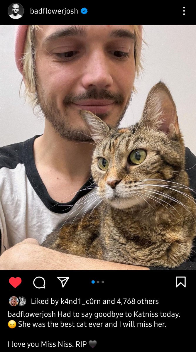 badflowerdaily's tweet photo. aww....i remember when he first got katniss...
fly high miss niss. you'll always be part of the badflower family 💗 https://t.co/B17pypjcax
