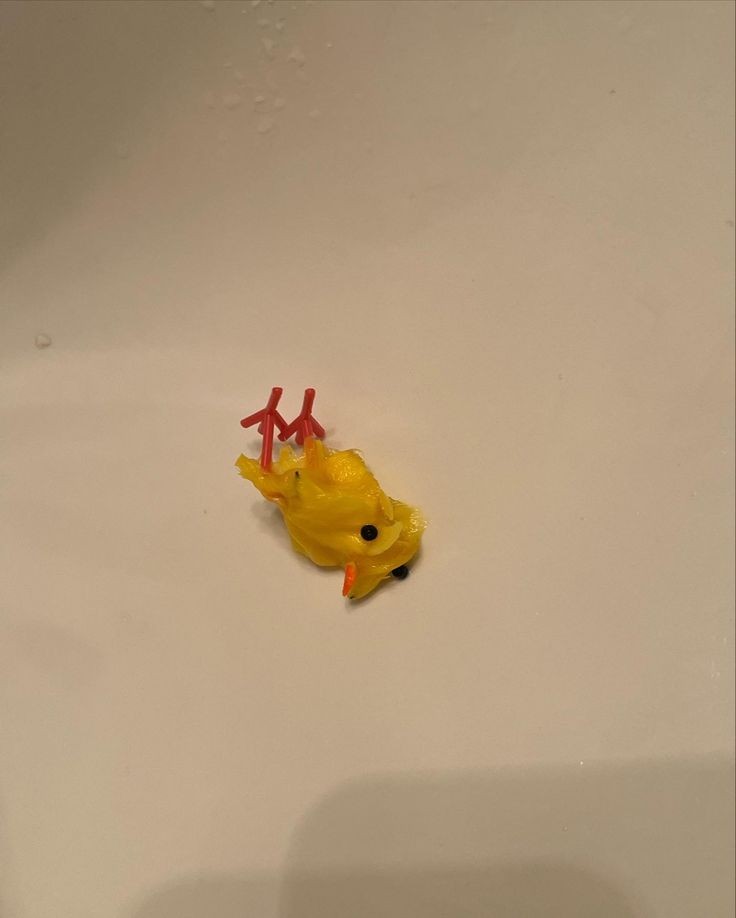 Killian124M's tweet photo. Kiero un nobio :c https://t.co/Pz13FVEMZX
