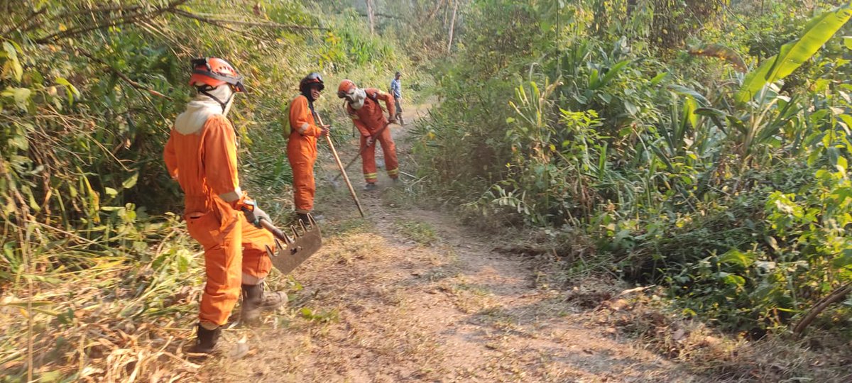 CopecoHonduras1's tweet photo. 📍En Tegucigalpa, FM
Esta tarde del lunes 11 de marzo, el trabajo heroico de las brigadas de la #URI, de esta Secretaría, @ICFHonduras, @comando_bosque y #AMITIGRA, combatían un incendio🔥 forestal, aún activo🌳🌲en bosque de La Tigra, #CONAPROFOR. https://t.co/Z7eyhUr7G6