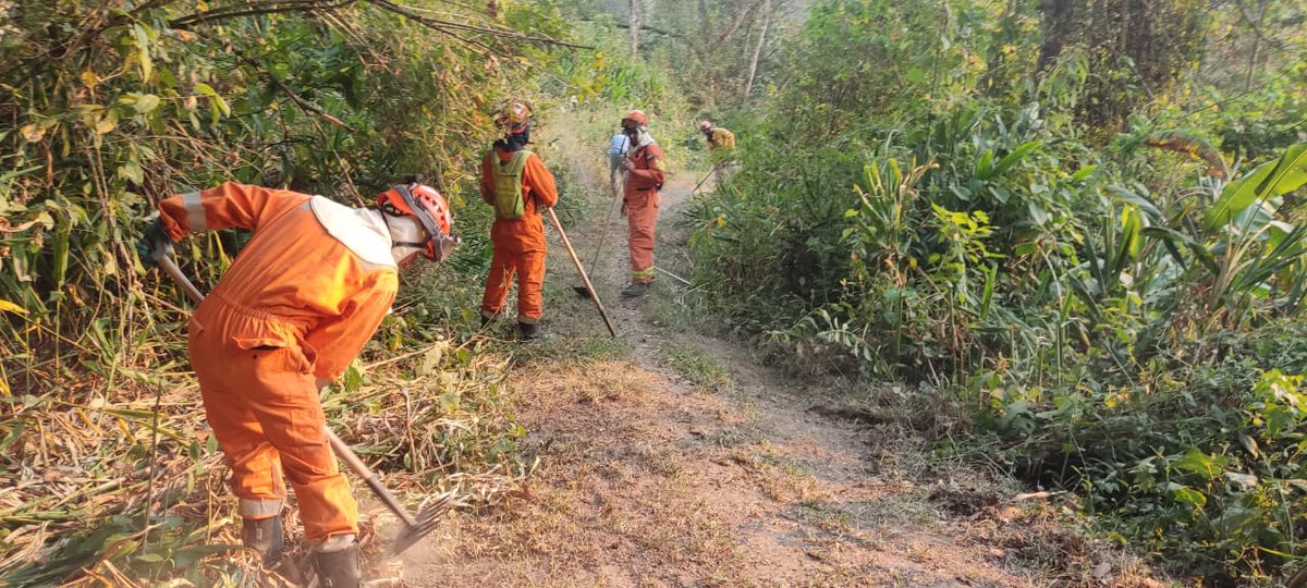 CopecoHonduras1's tweet photo. 📍En Tegucigalpa, FM
Esta tarde del lunes 11 de marzo, el trabajo heroico de las brigadas de la #URI, de esta Secretaría, @ICFHonduras, @comando_bosque y #AMITIGRA, combatían un incendio🔥 forestal, aún activo🌳🌲en bosque de La Tigra, #CONAPROFOR. https://t.co/Z7eyhUr7G6