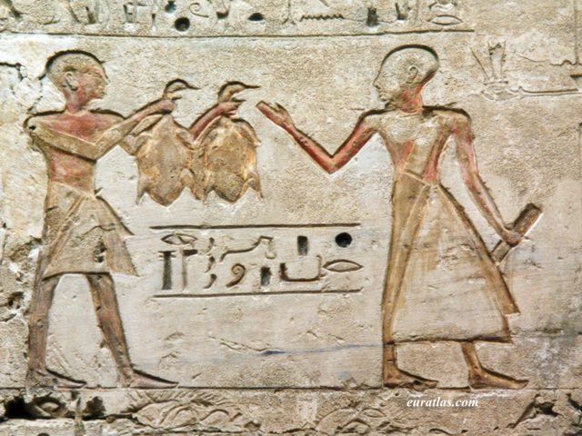 MindMedley's tweet photo. Ancient Egyptians levied taxes on agricultural produce and goods. Taxes supported temple construction, irrigation projects, and military endeavors, ensuring the prosperity and stability of the kingdom. https://t.co/Hvp2BL5n8Z