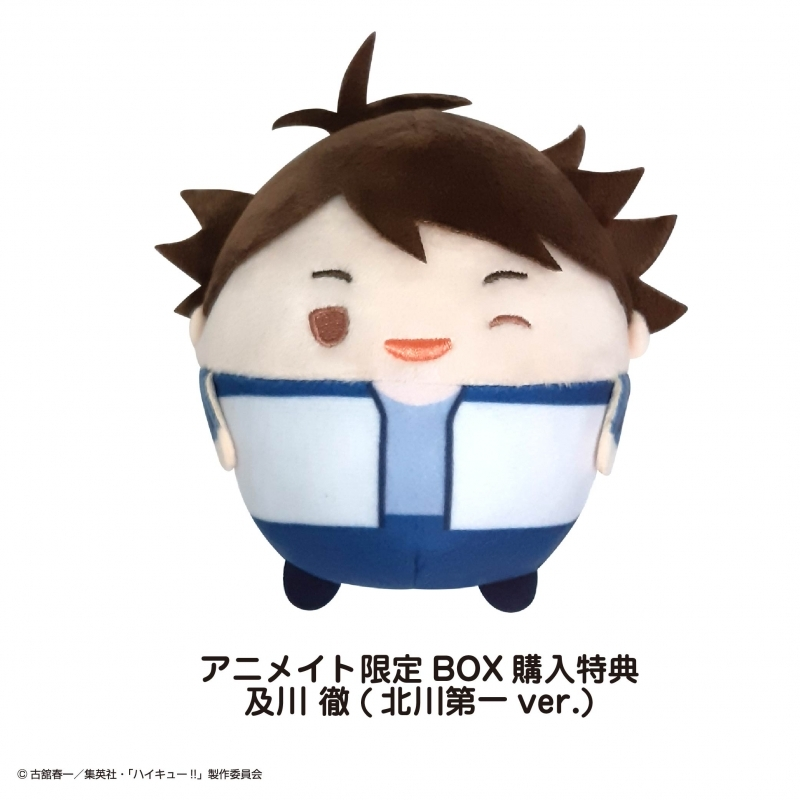 ハイキュー!! ふわコロりん＆はぐキャラ スペシャル BOXセット＋特典 及川徹 アニメイトオンラインで予約開始！ ハイキュー!! ふわコロりん