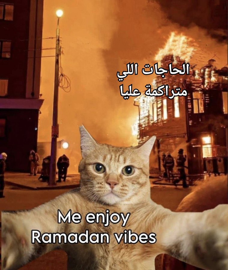i meme it (@egymeme11) on Twitter photo 