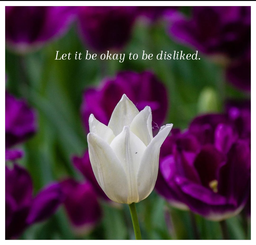 Kadang tak mengapa, kalau ada yang tak suka.

Apapun yang kita lakukan, akan selalu ada yang berseberangan.

Kalau terus gelisah berusaha nyenengin semua orang, diri sendiri malah terabaikan. Tapi kalau hanya nyenengin diri sendiri namanya egois.

Keduanya emang perlu seimbang.