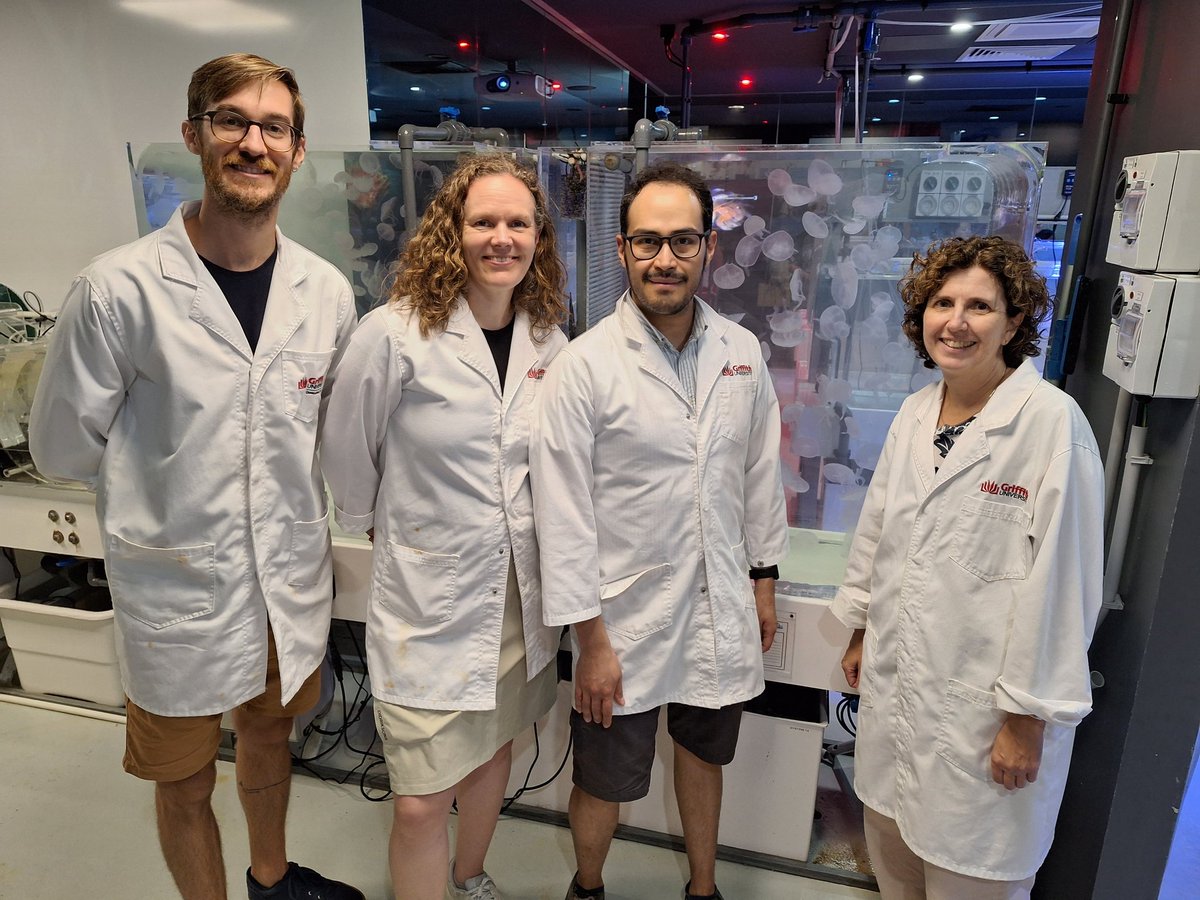 Kylie Pitt (@griffithjellies) on Twitter photo Wonderful to welcome our Norwegian colleagues <a href="/AinoHosia/">Aino Hosia</a> and <a href="/LuisFMartell/">Luis Martell</a> to the #GriffithSeaJelliesResearchLab. Wonderful to welcome our Norwegian colleagues <a href="/AinoHosia/">Aino Hosia</a> and <a href="/LuisFMartell/">Luis Martell</a> to the #GriffithSeaJelliesResearchLab.