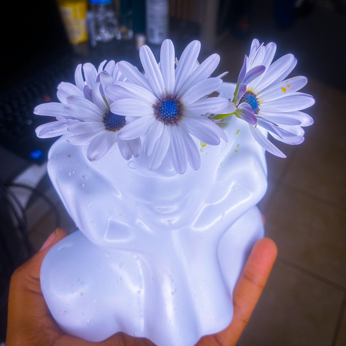 AllyseJolie's tweet photo. I absolutely love giving fresh cut flowers to my friends just because I love them. And they always love them so much because they came from my garden. Truly a labor of 💕 https://t.co/Owq6Ygdfa4