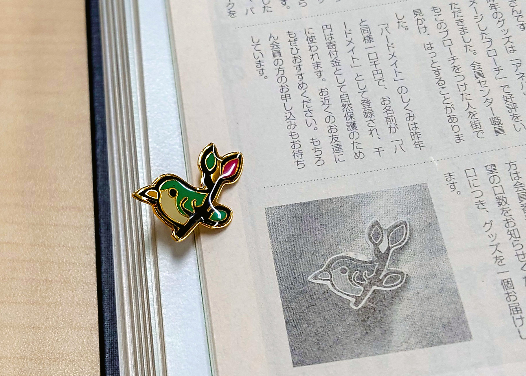 希少 野鳥の会 徽章 27個まとめて BIRD MATE 1997年～2017年頃 重複あり ピンバッジ ツバメ ヤマセミ エナガ アオゲラ スズメなど 札幌市 清田区 平岡 希少 野鳥の会 徽章 27個まとめて BIRD MATE 1997年～2017年頃 重複