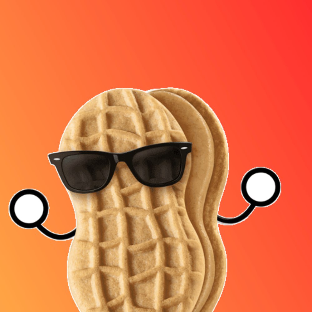 nutcoinSOL's tweet photo. NUT 

IN 

MY 

BUTT

CA: 6PKKtK1MN1ELSLwULqHPW7sBz4zwo9t5PnRdBaSysXjz

TG: https://t.co/JL7DrKgOBk https://t.co/dFFBugdi0K
