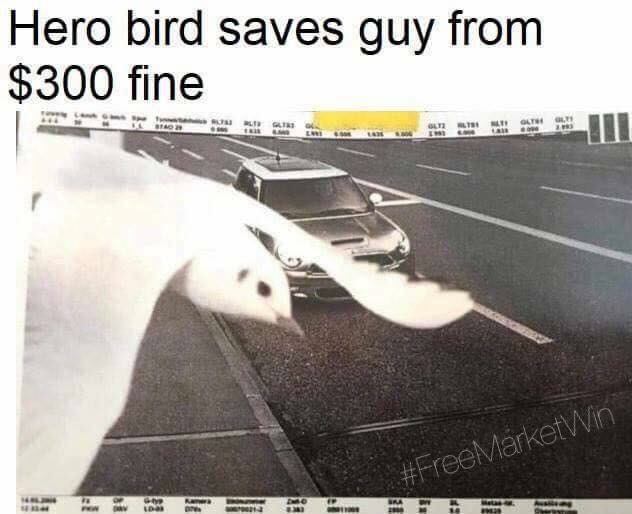 SpillTheMemes's tweet photo. Not all heroes wear capes 🫡 https://t.co/FLXTQLrxh2