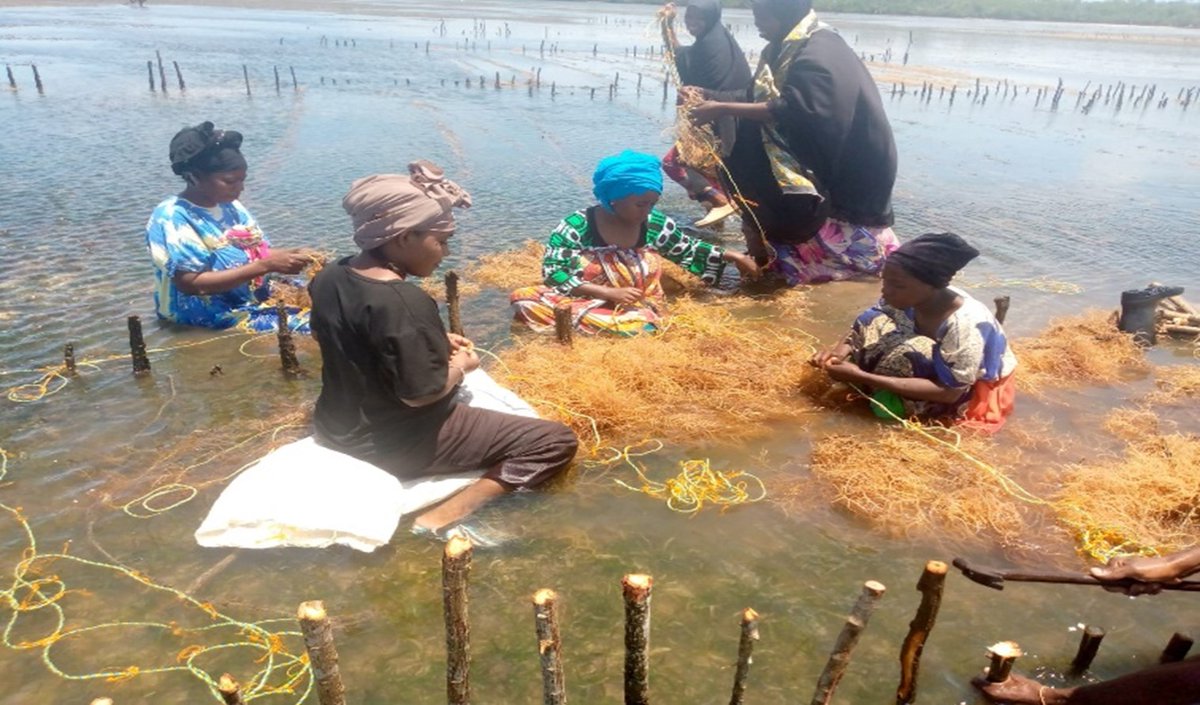 Base Resources tweet media