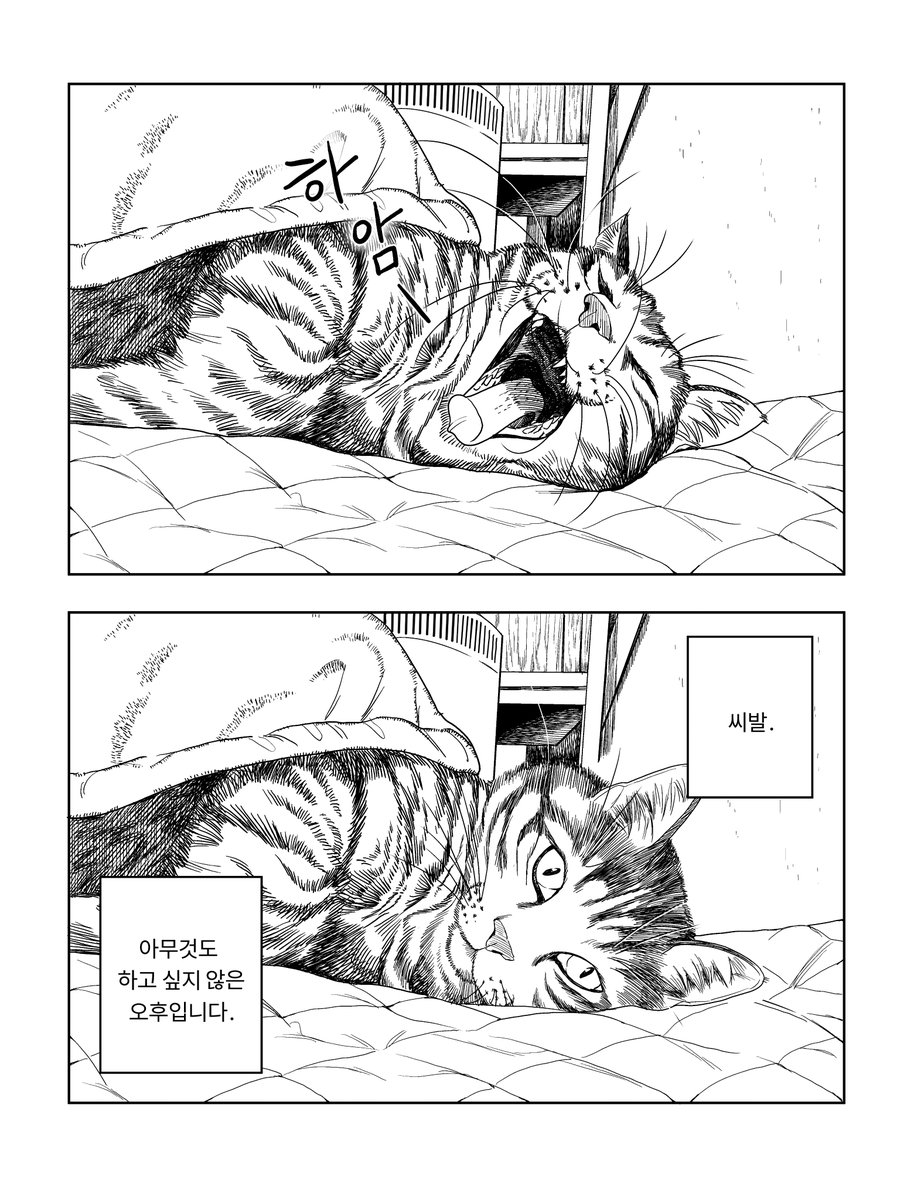 sato l 金田サト tweet media