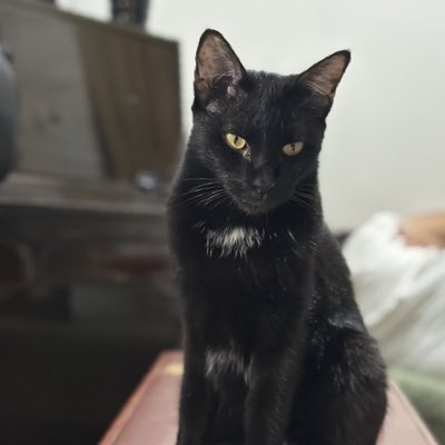 theSoulbender66's tweet photo. #NewProfilePic https://t.co/ffMb50a9q5