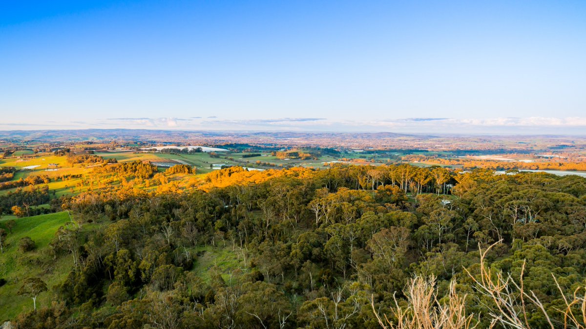 Are you interested in becoming a Councillor on Orange, Blayney or Cabonne councils? Join an online candidate information session from 5.30pm-9pm on Monday 25 March, hosted by Local Government NSW. For more info or to register email council@orange.nsw.gov.au or contact 6393 8000.