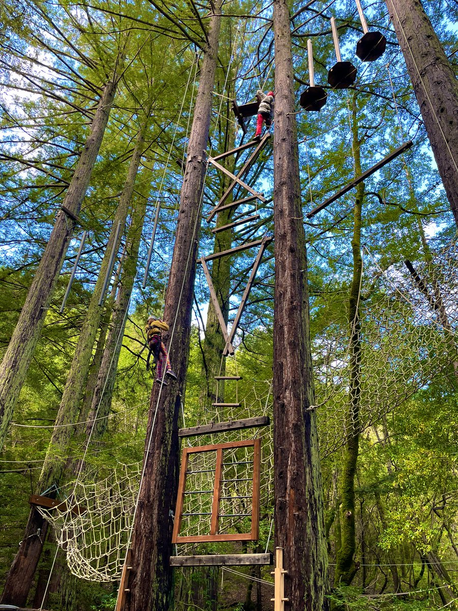 Mr. Jeremy tweet media