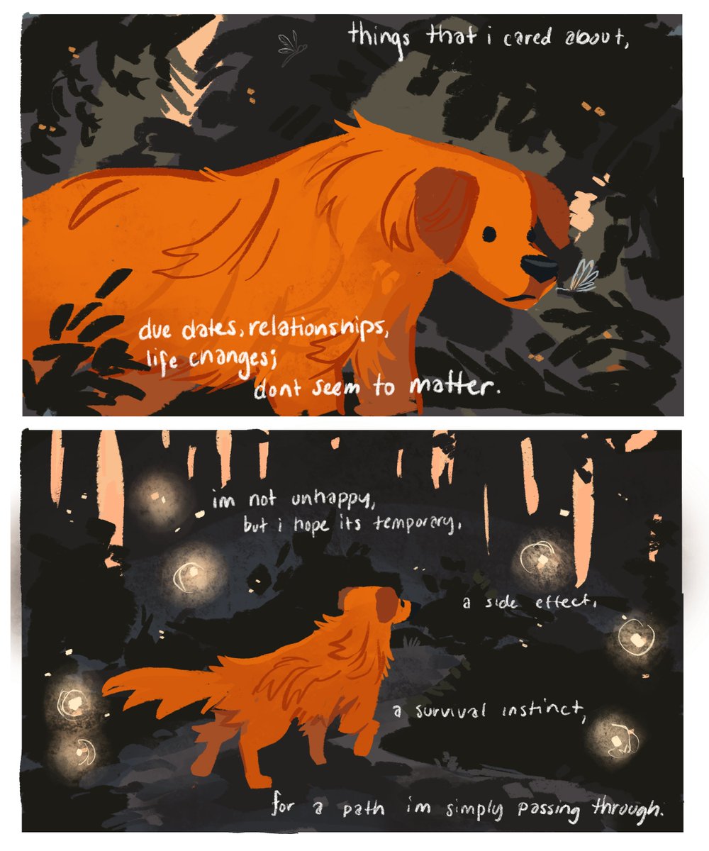 FurBakery's tweet photo. Emotional Maturity 🌲🌙 https://t.co/w5yRdO6CI1