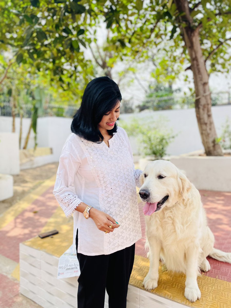 NiharikaDash14's tweet photo. Precious ❤️
Handsome boy HENRY
#retriver #britishretriver https://t.co/MIGiq1ogfu