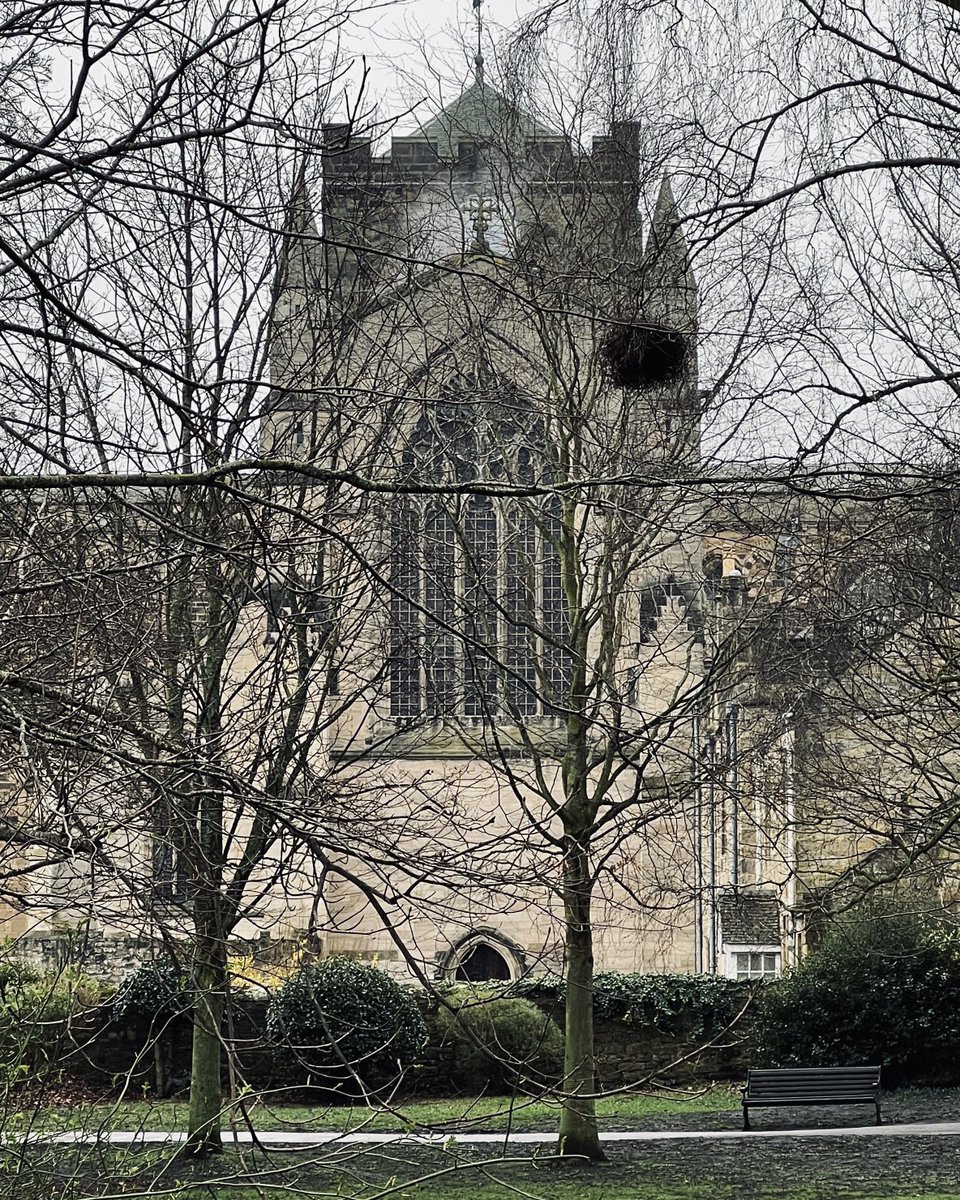 Michael Sadgrove 🇪🇺 (@michaelsadgrove) on Twitter photo .<a href="/HexhamAbbey/">Hexham Abbey</a> with bird’s nest. A view from due west that you only get for about 4 months of the year. The pinnacles of the early 20th century nave’s west front just clear the edges of the medieval tower. <a href="/NclDiocese/">Newcastle Diocese (CofE)</a> <a href="/VisitHexham/">VisitHexham</a> .<a href="/HexhamAbbey/">Hexham Abbey</a> with bird’s nest. A view from due west that you only get for about 4 months of the year. The pinnacles of the early 20th century nave’s west front just clear the edges of the medieval tower. <a href="/NclDiocese/">Newcastle Diocese (CofE)</a> <a href="/VisitHexham/">VisitHexham</a>