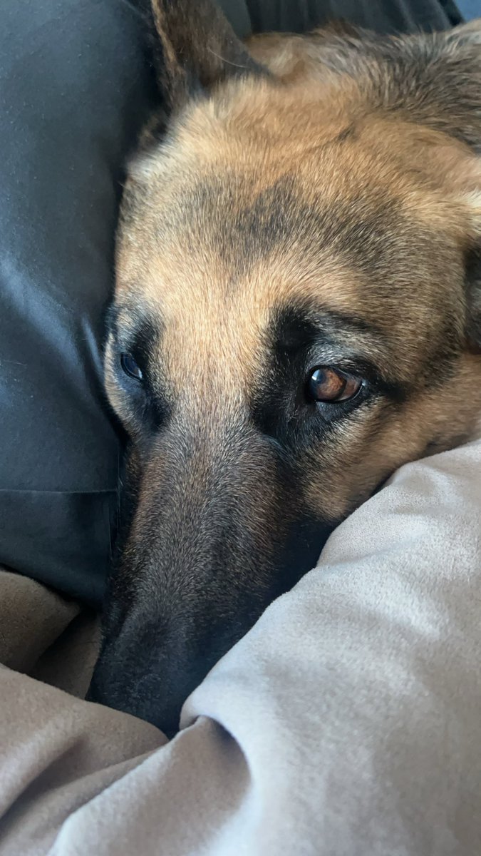 Elijah Gutierrez (@elijahg209) on Twitter photo 