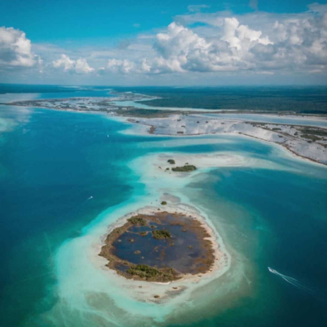 Bacalar tweet media