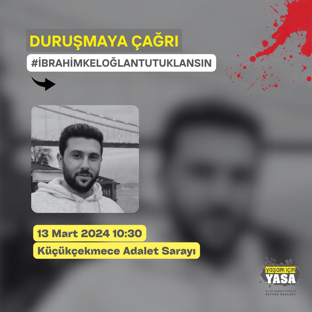 6 dakika boyunca yavru kediyi tekmeleyerek acılar içinde öldüren caninin duruşması yarın . Yaşam hakkı bir bütündür bir kedinin de sizler gibi can taşıdığını ve acıyı hissettiğini unutmayın . Hayvan ,kadın ,çocuk hepsinin can güvenliği tehlikesi olan #ibrahimkeloğlanTUTUKLANSIN