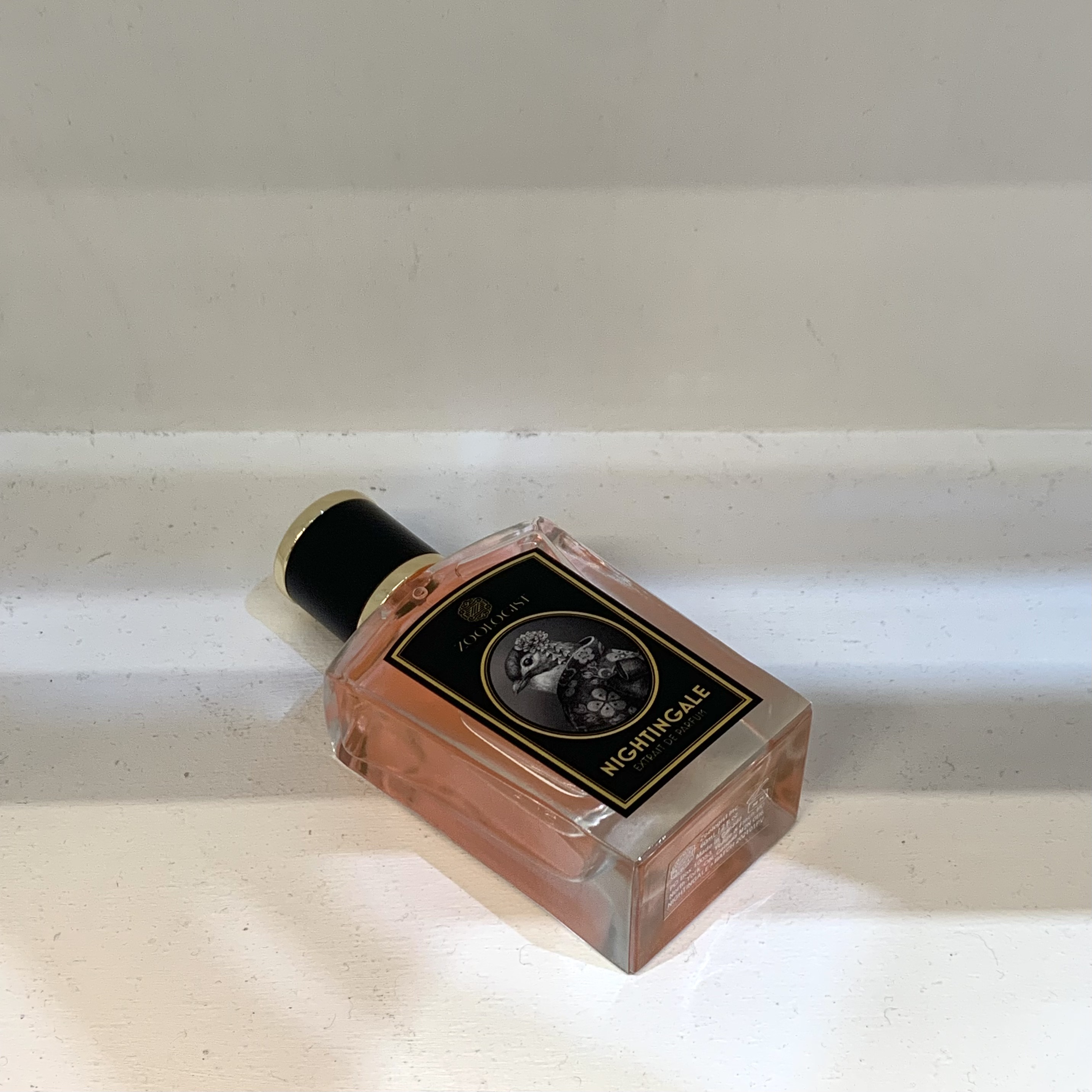 NOSE SHOP(ノーズショップ)|香水のセレクトショップ on X NOSE SHOP(ノーズショップ)|香水のセレクトショップ on X