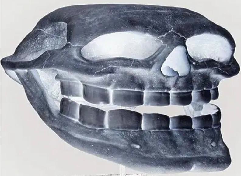 WOULD’NT IT BE FUNNY IF YOU ALL JUST SPAMMED THE BOT’S REPLIES WITH THIS ONE IMAGE? (also uh please un @ the people @‘d on the post before you post the replies, thank you)