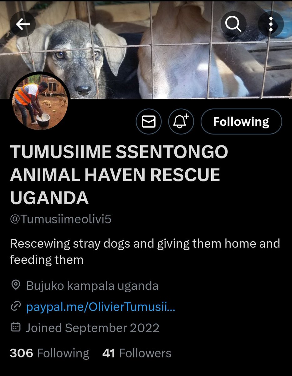 Noncompliantciv's tweet photo. This man is doing God's work, he could use some support and help to keep providing for these amazing animals!
@Tumusiimeolivi5

#family #dogs  #cats #helpless #helpinghand #America #Australia #europe #Africa #Russia #Animal #AnimalLovers #AnimalRescue #charity  #SpreadTheWord https://t.co/BMIoYKSZdh