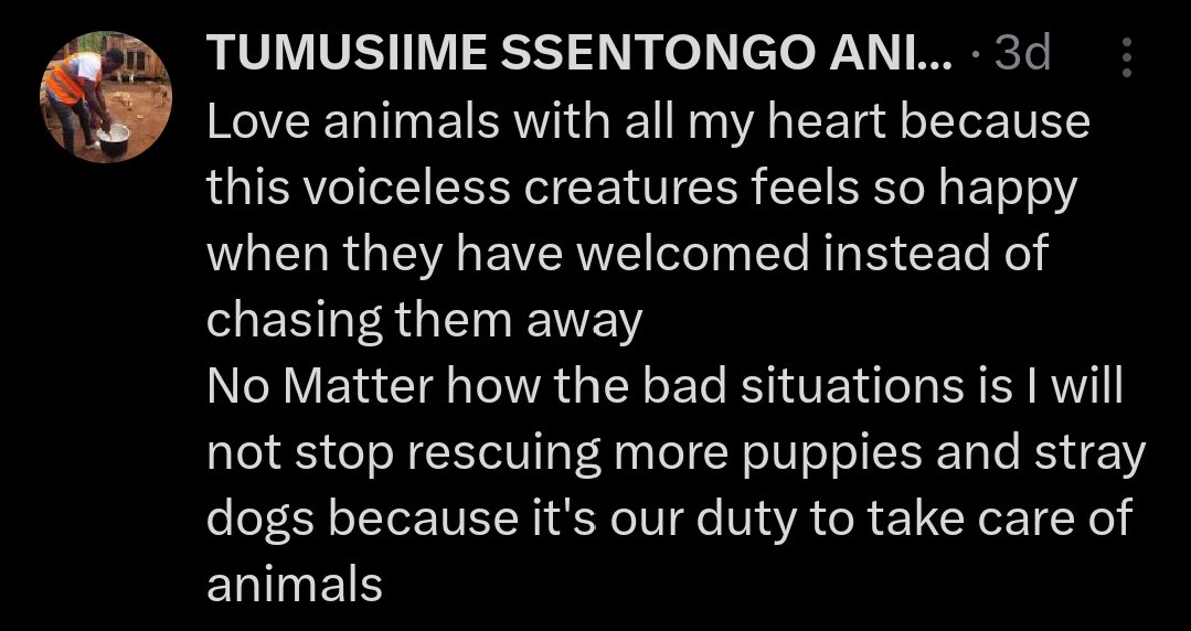 Noncompliantciv's tweet photo. This man is doing God's work, he could use some support and help to keep providing for these amazing animals!
@Tumusiimeolivi5

#family #dogs  #cats #helpless #helpinghand #America #Australia #europe #Africa #Russia #Animal #AnimalLovers #AnimalRescue #charity  #SpreadTheWord https://t.co/BMIoYKSZdh