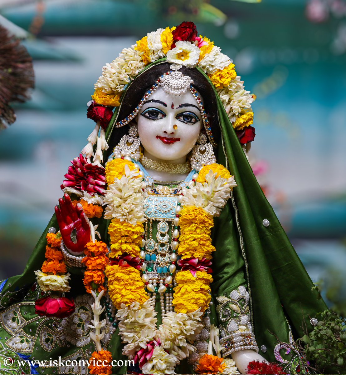 iskconvicc's tweet photo. Śrī Śrī Radha Gopal Darshan -  12/3/2024 @iskconvicc 

#12march #srisriradhagopal #aajkedarshan #todaysdarshan #iskconvicc #iskconvaransi #banaras #seagreen #lotusfeetoflordkrishna🌺🌹🌼🌷👏 #tuesdaydarshan #mangalvarspecial #bhakti https://t.co/02wByU7DBA