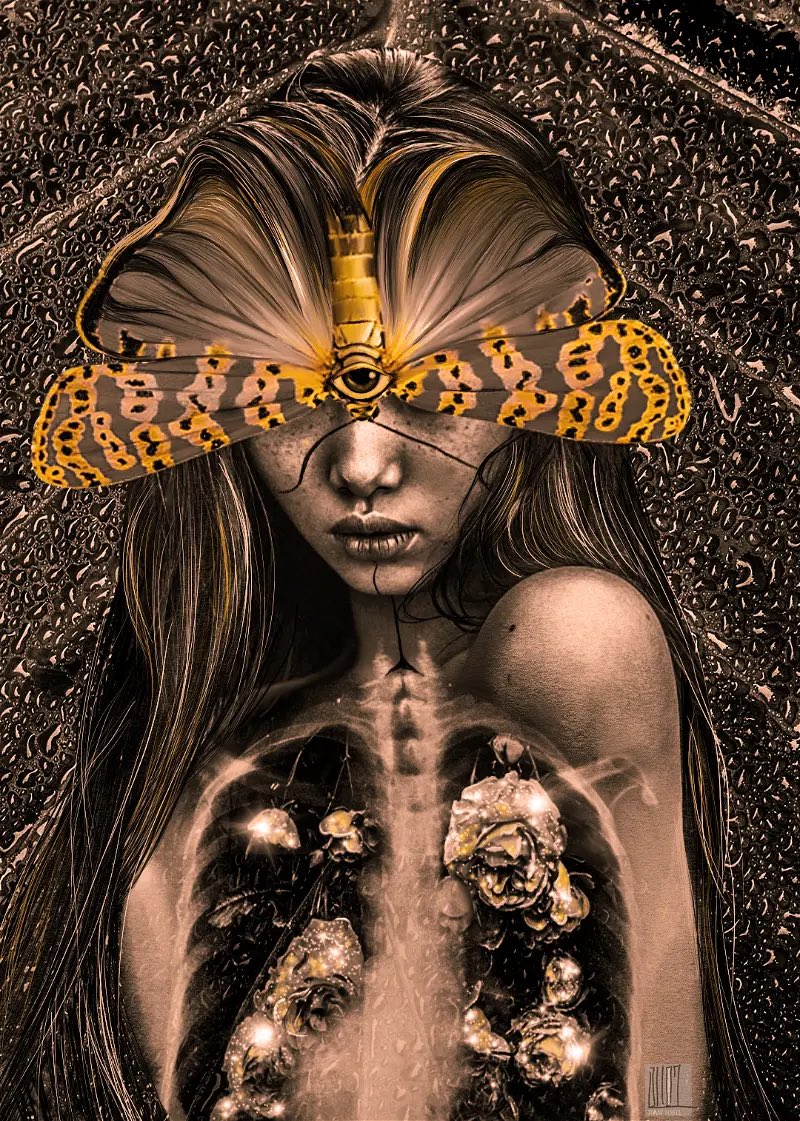 Kristina Valishina tweet media